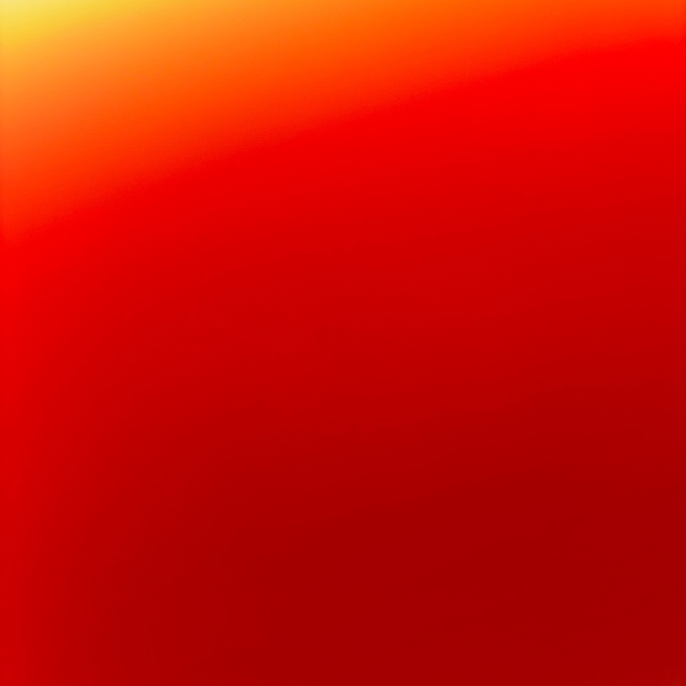 Meet your Posher, Mary lizbeth